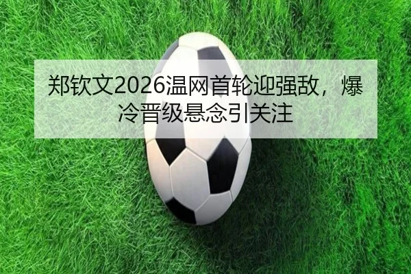 zheng-qin-wen-wen-wang-shou-lun-ying-qiang-di-bao-leng-jin-ji-xuan-nian-yin-guan-zhu-2-933.jpg