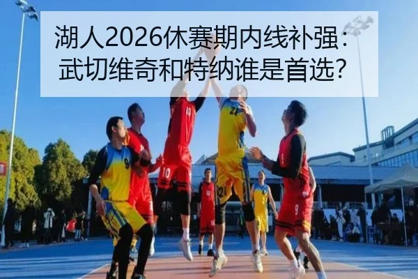 湖人2026休赛期内线补强：武切维奇和特纳谁是首选？